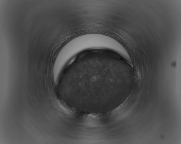 X0000091180180200708231537