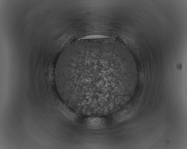 X0000091180181200708231537