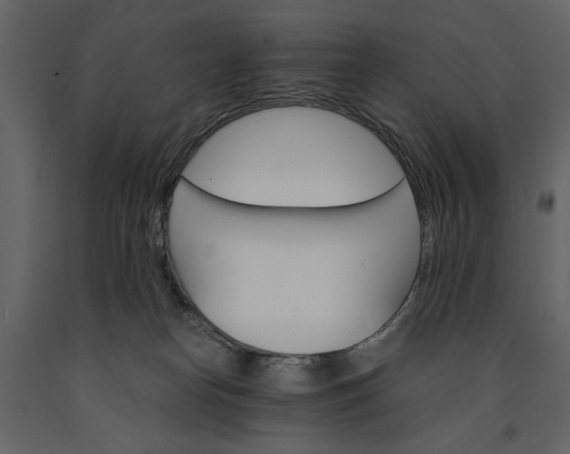 X0000091180182200708231537