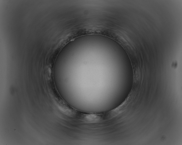 X0000091180183200708231537