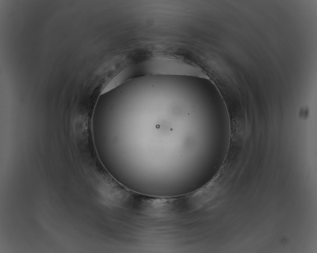 X0000091180184200708231537