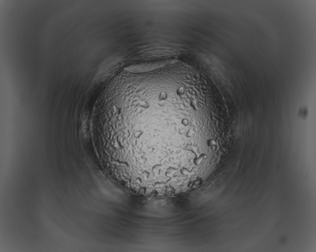 X0000091180185200708231537