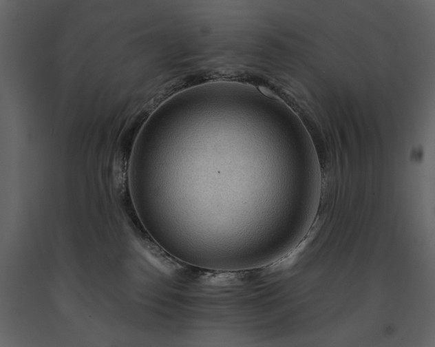 X0000091180186200708231537