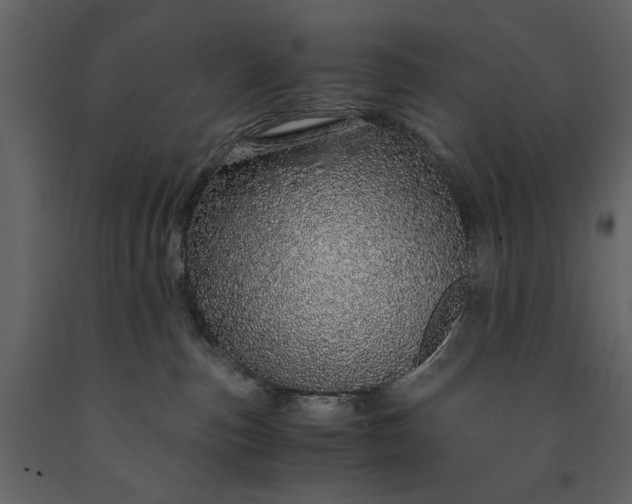 X0000091180187200708231537