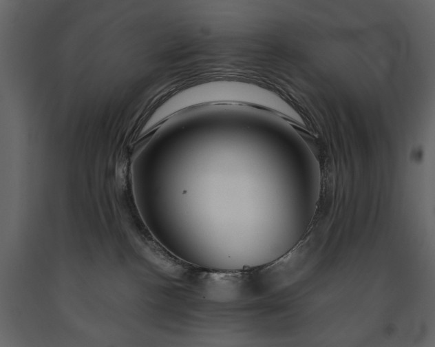 X0000091180188200708231537