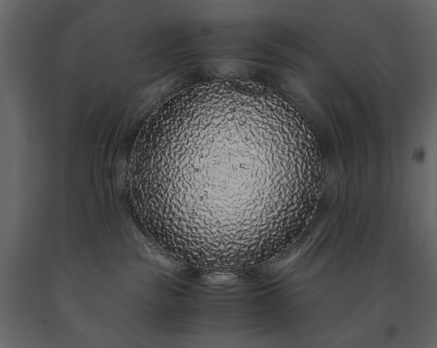 X0000091180189200708231537