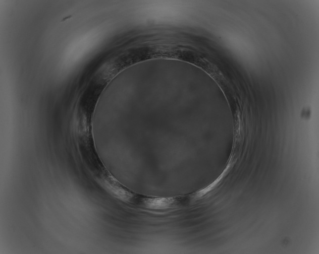 X0000091180191200708231537