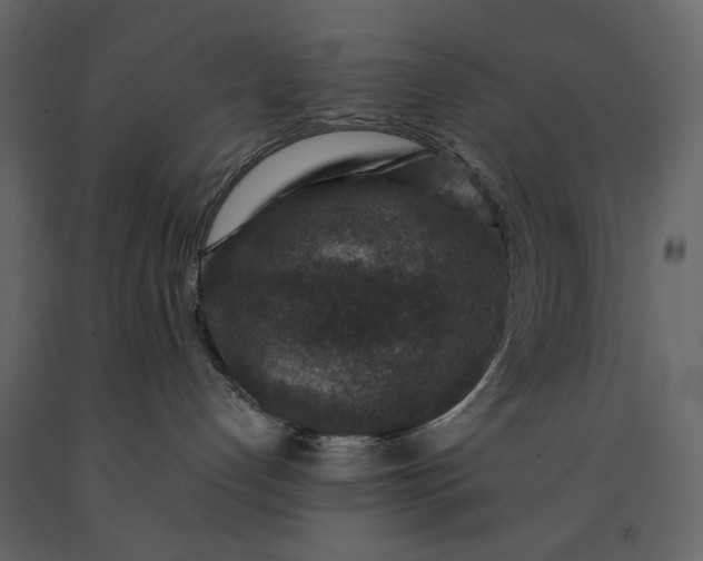 X0000091180192200708231537