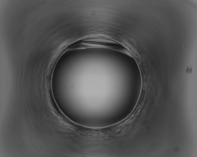 X0000091180193200708231536