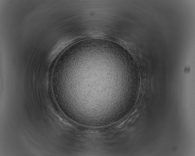 X0000091180194200708231536