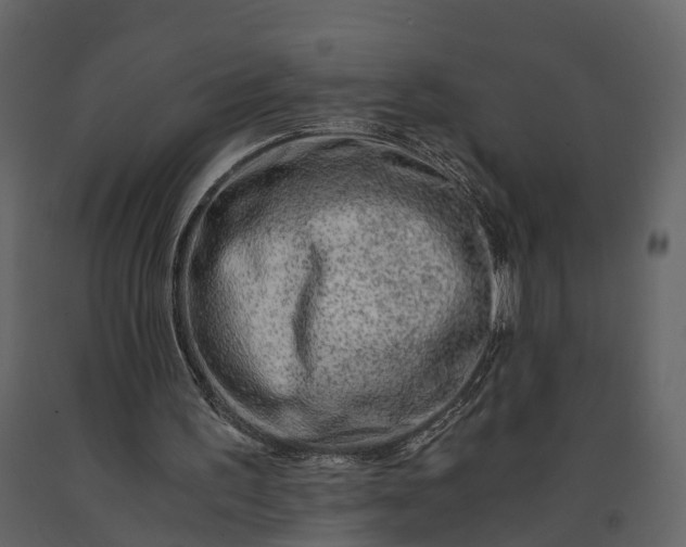 X0000091180195200708231536