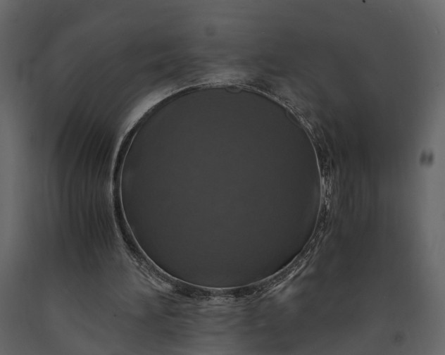 X0000091180196200708231536