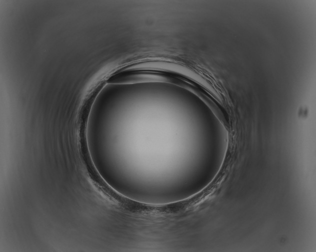 X0000091180197200708231536