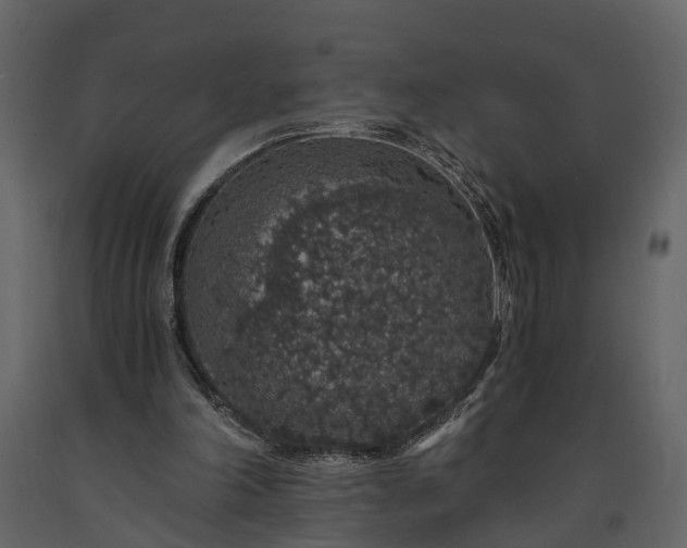 X0000091180198200708231536