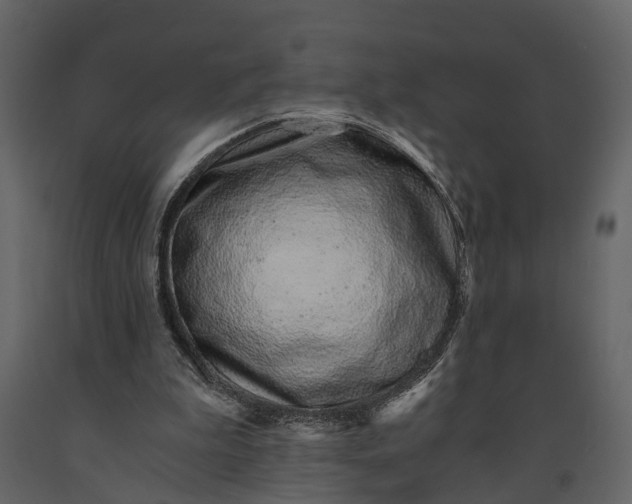 X0000091180199200708231536