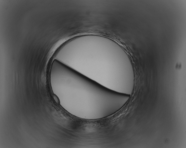 X0000091180200200708231536