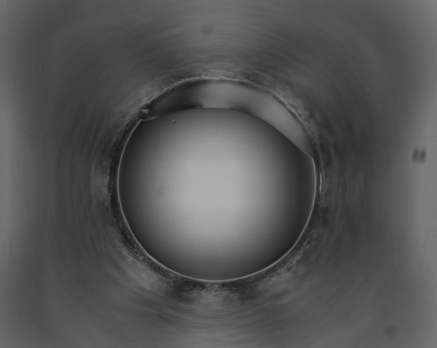 X0000091180201200708231536