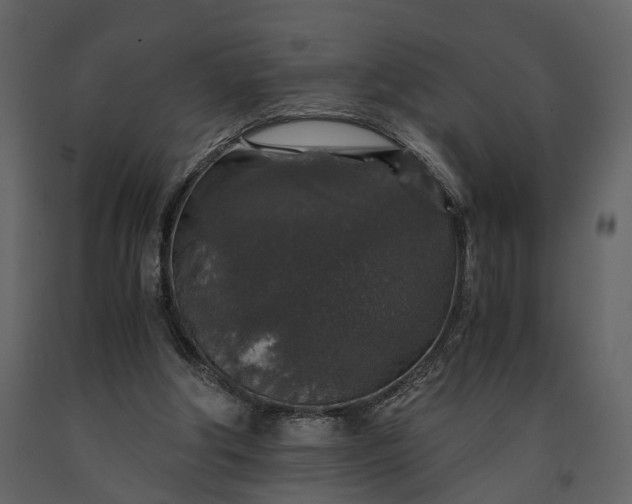 X0000091180202200708231536