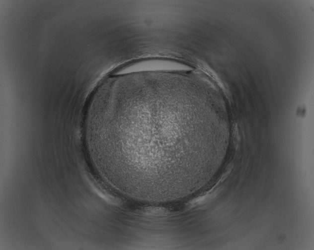 X0000091180203200708231536