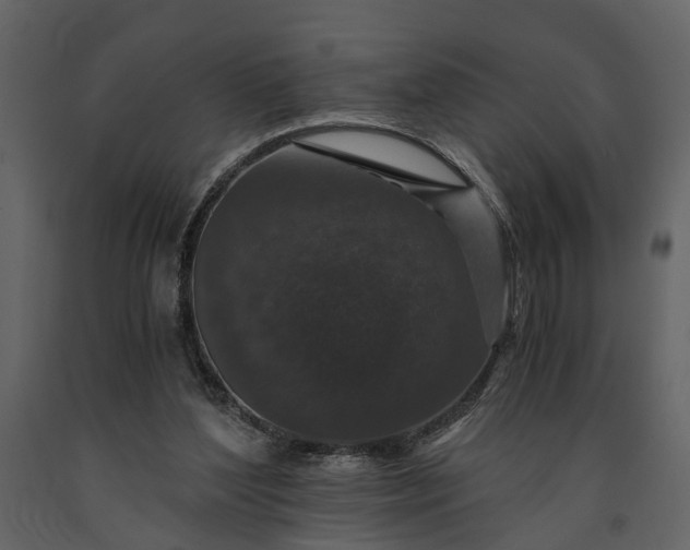 X0000091180204200708231536