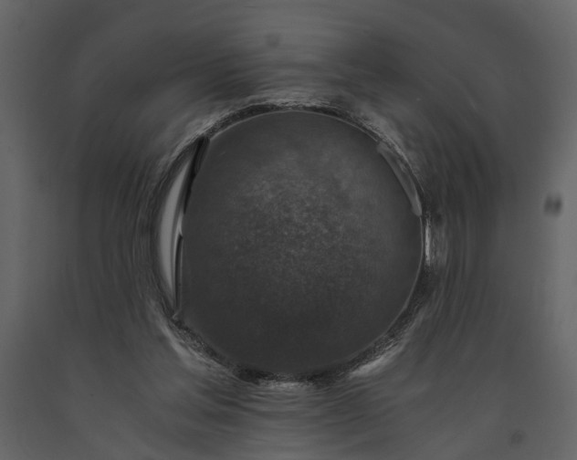 X0000091180205200708231536