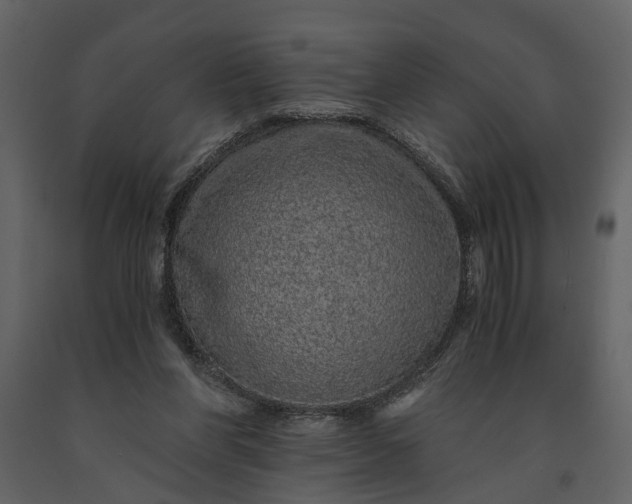 X0000091180206200708231536