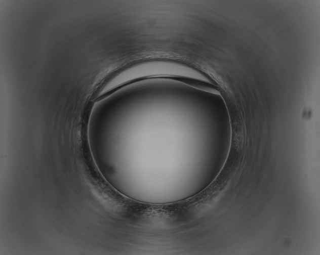 X0000091180207200708231536