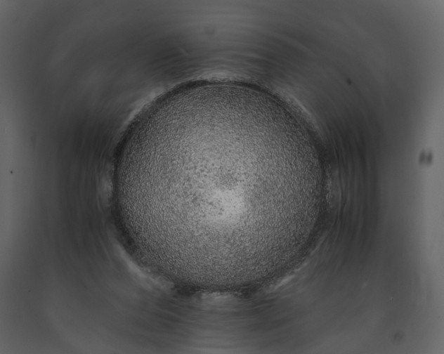 X0000091180208200708231536