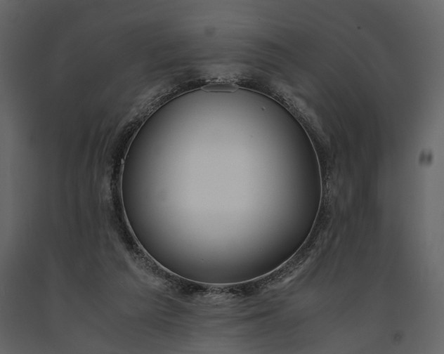 X0000091180209200708231536