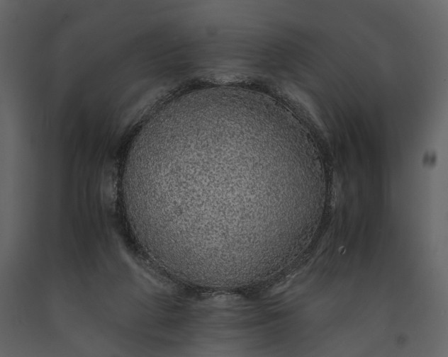 X0000091180210200708231536