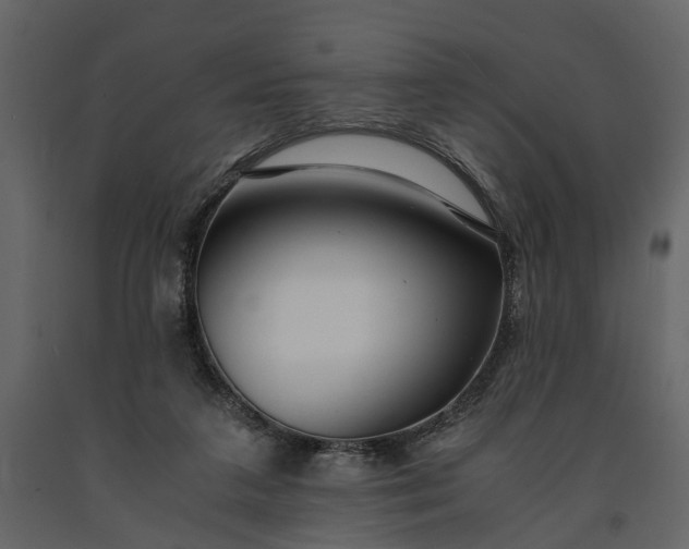 X0000091180211200708231536