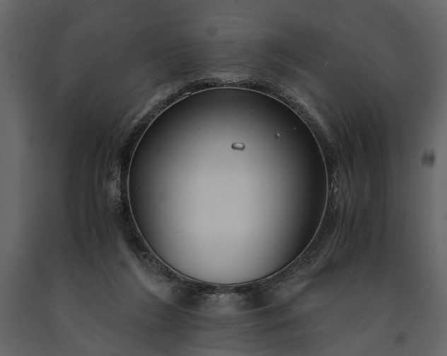 X0000091180212200708231536