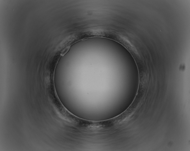 X0000091180213200708231536