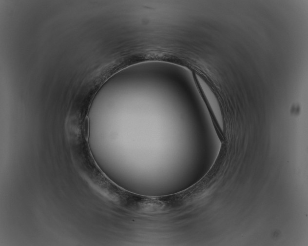 X0000091180215200708231536