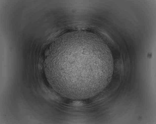 X0000091180218200708231536