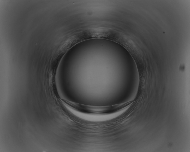 X0000091180219200708231536