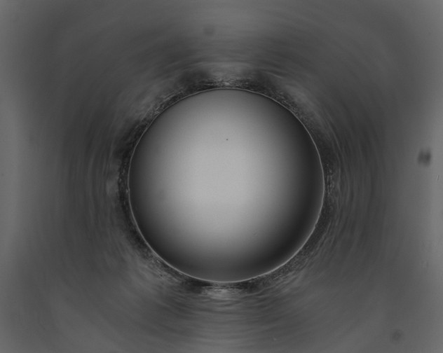 X0000091180221200708231536