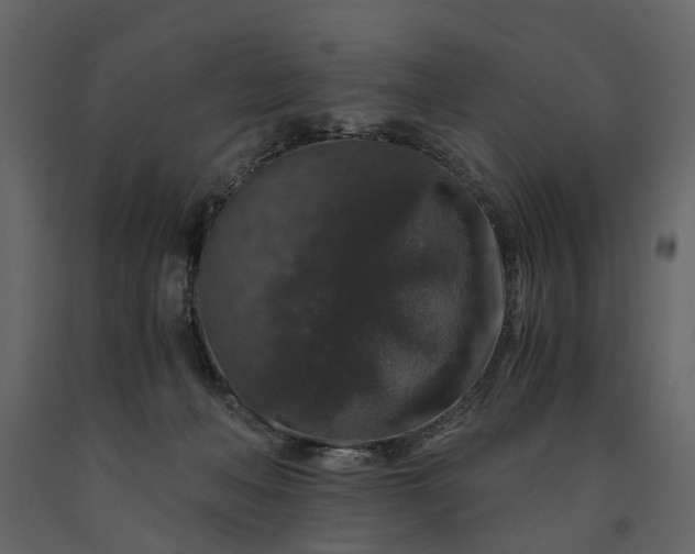 X0000091180222200708231536