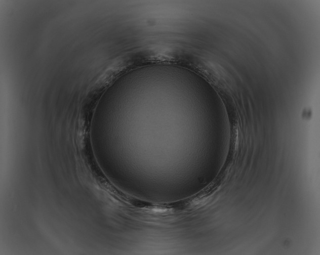 X0000091180223200708231536