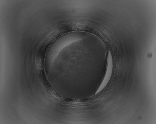 X0000091180224200708231536