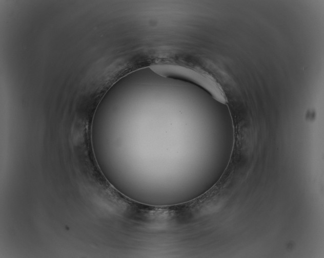 X0000091180225200708231536