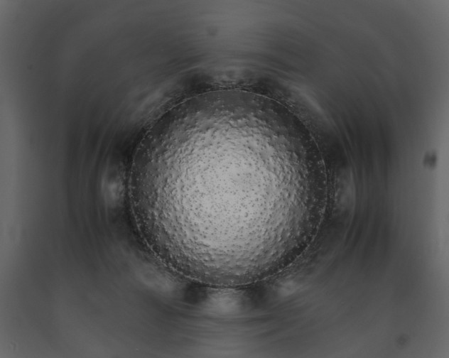 X0000091180226200708231536