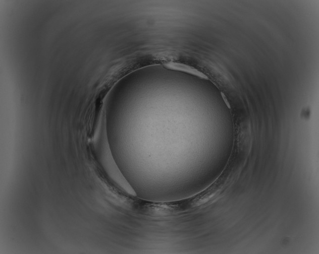 X0000091180229200708231536