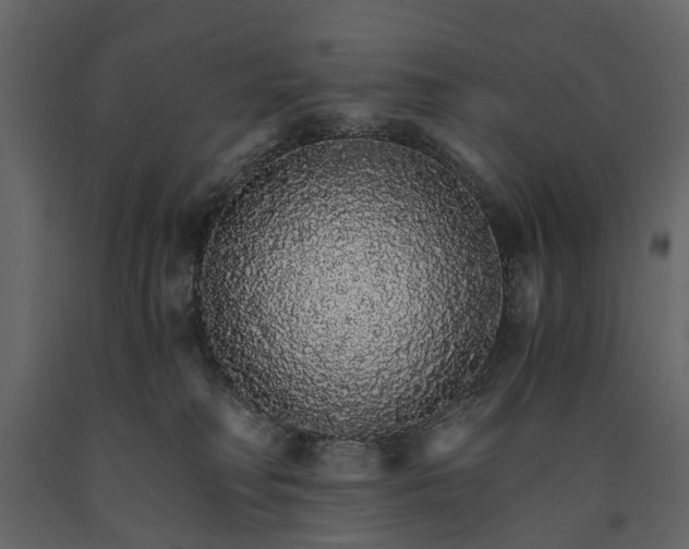 X0000091180230200708231536