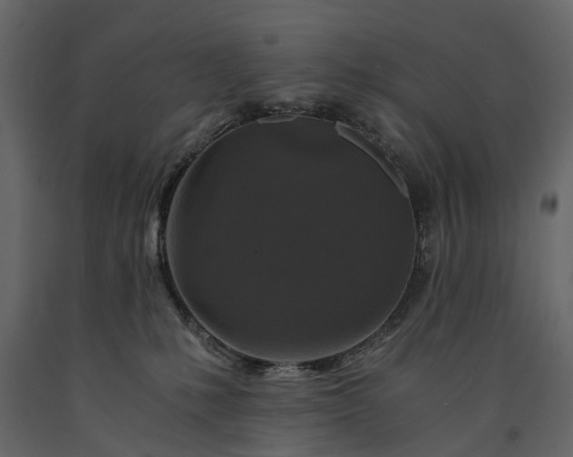 X0000091180231200708231536