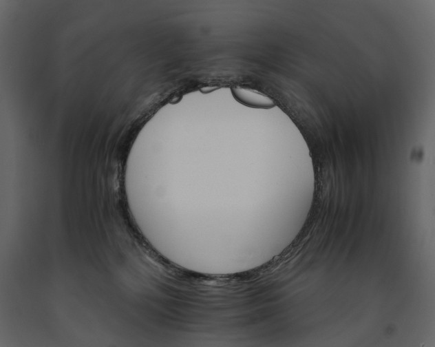 X0000091180232200708231536