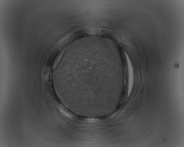 X0000091180233200708231536