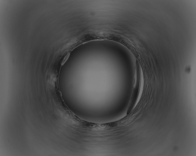 X0000091180235200708231536