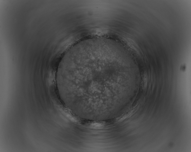 X0000091180236200708231536