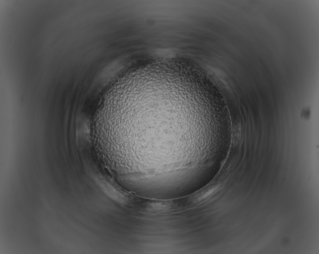 X0000091180238200708231536